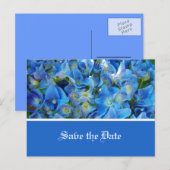 Save the Date, blaue Hydrangea-Blume Ankündigungspostkarte (Vorne/Hinten)