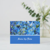 Save the Date, blaue Hydrangea-Blume Ankündigungspostkarte (Stehend Vorderseite)