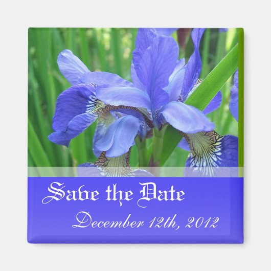 Save the Date, blaue Irisblüten-Blume. Magnet (Vorne)