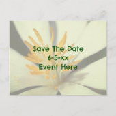 Save The Date Bloodroot Flower  Ankündigungspostkarte (Vorderseite)
