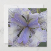 Save the Date Blue Iris 5x5 (Rückseite)