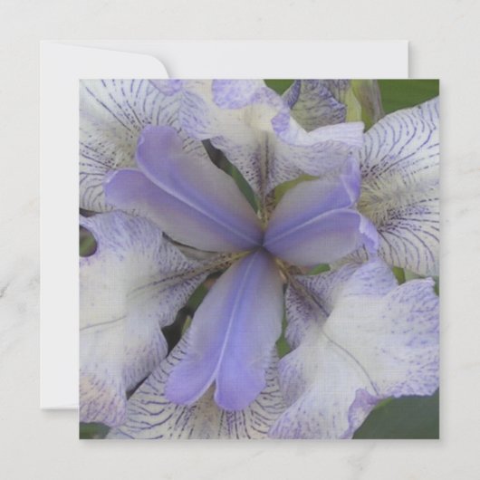 Save the Date Blue Iris 5x5 (Rückseite)