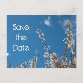 Save the Date blühen Kirschen in blauem Himmel. Ankündigungspostkarte