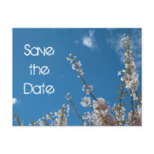 Save the Date blühen Kirschen in blauem Himmel.