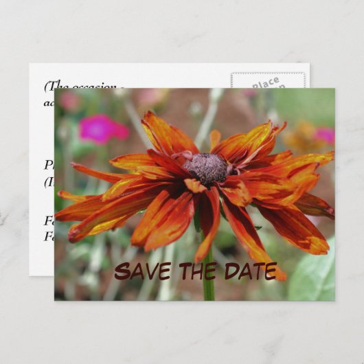 Save the Date Blumenfotografie Postkarte (Vorne/Hinten)