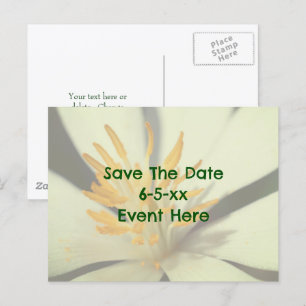 Save The Date Blutwurz-Blume Ankündigungspostkarte