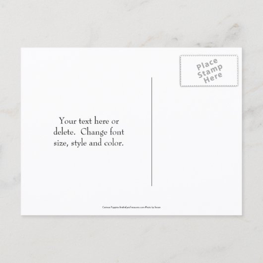 Save The Date Border Collie Puppies Dog  Ankündigungspostkarte (Rückseite)