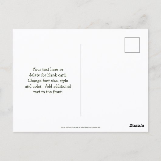 Save The Date Bullfrog Nature Postkarte (Rückseite)