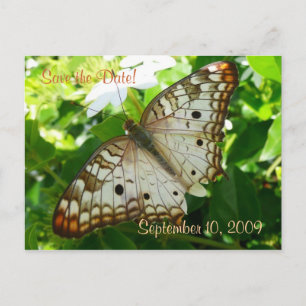 Save the Date Butterfly auf Jasmine Postcard Ankündigungspostkarte