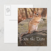 Save the Date Chipmunk Postcard Ankündigungspostkarte (Vorne/Hinten)