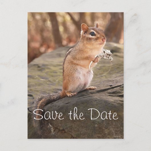 Save the Date Chipmunk Postcard Ankündigungspostkarte (Vorderseite)