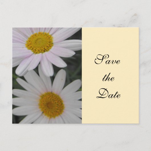 Save the Date, daisy Blume Ankündigungspostkarte (Vorderseite)