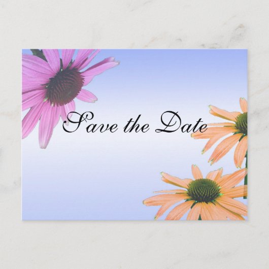 Save the Date, daisy Blume Ankündigungspostkarte (Vorderseite)