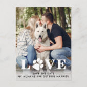 Save the Date Dog Wedding Ankündigungspostkarte (Vorderseite)