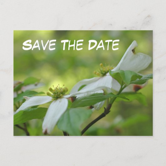 Save The Date Dogwood Flower Photo  Ankündigungspostkarte (Vorderseite)