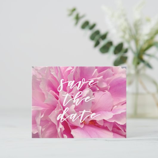 Save the Date! Elegante rosa Peonies Postkarte (Stehend Vorderseite)
