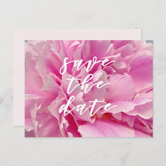 Save the Date! Elegante rosa Peonies Postkarte (Vorne/Hinten)