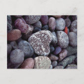 Save the Date Elegantes Chic Niedliches Kieselherz Postkarte (Rückseite)