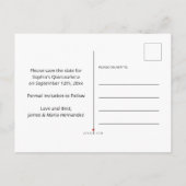 Save the Date farbenfrohe mexikanische Fiesta Roya Ankündigungspostkarte (Rückseite)