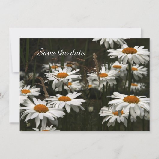Save the Date-Flachbildschirm Ankündigung (Vorderseite)