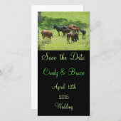 Save the Date Fotokarten (Vorne/Hinten)