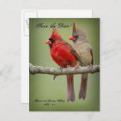 Save the Date für unsere Hochzeitsfeier/Kardinal Ankündigungspostkarte (Vorne/Hinten)