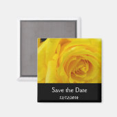 Save the Date, gelbe Rose-Blume Magnet (Vorderseite/Rückseite)