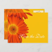 Save the Date, gerbera daisy Blume Ankündigungspostkarte (Vorne/Hinten)