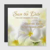 Save the Date Hawaii White Plumeria Magnetkarte (Vorne/Hinten)