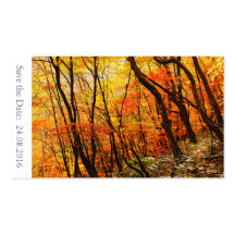 Save the Date Herbst/Hochzeit im Herbst 100 Karten