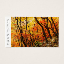Save the Date Herbst/Hochzeit im Herbst 100 Karten