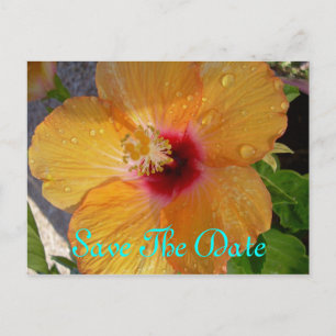 Save the Date Hibiskus Postkarte