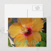Save the Date Hibiskus Postkarte (Vorne/Hinten)