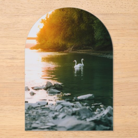 Save the Date/ Hochzeit Acryleinladungen (Vorderseite)