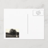 Save The Date. Hochzeit Danke Ankündigungspostkarte (Rückseite)