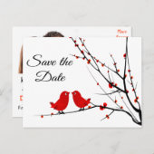 Save the Date Hochzeit Liebe Vögel Foto Post Card Ankündigungspostkarte (Vorne/Hinten)