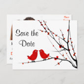 Save the Date Hochzeit Liebe Vögel Foto Post Card Ankündigungspostkarte (Vorne/Hinten)