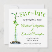 Save the Date Hochzeitserklärung Lucky Bamboo Ankündigung (Vorderseite)