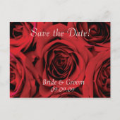 Save the Date Hochzeitspostkarten-Rote Rosen Ankündigungspostkarte (Vorderseite)