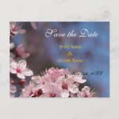 Save the Date, hübsche Frühlingskirsche Blume Ankündigungspostkarte (Vorderseite)