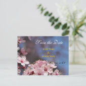 Save the Date, hübsche Frühlingskirsche Blume Ankündigungspostkarte (Stehend Vorderseite)