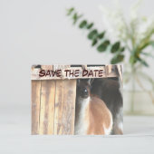 Save the Date Hübsches Llama Foto Postkarte (Stehend Vorderseite)