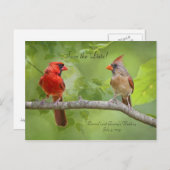 Save The Date! Kardinal Pair Ankündigungspostkarte (Vorne/Hinten)