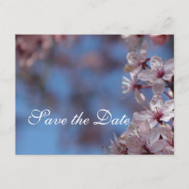 Save the Date Kirschblüte Ankündigungspostkarte