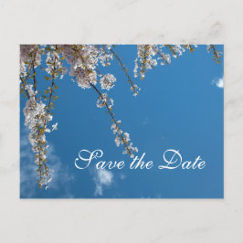 Save the Date, Kirschblüten Zweige in blauem Himme Ankündigungspostkarte