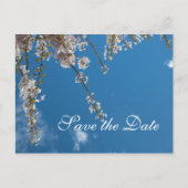 Save the Date, Kirschblüten Zweige in blauem Himme Ankündigungspostkarte (Vorderseite)