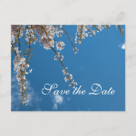 Save the Date, Kirschblüten Zweige in blauem Himme Ankündigungspostkarte