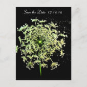 Save the Date Königin Anne's Lace Ankündigungspostkarte (Vorderseite)