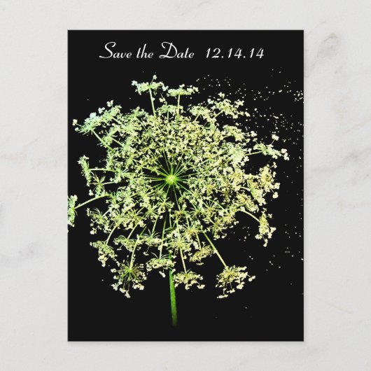 Save the Date Königin Anne's Lace Ankündigungspostkarte (Vorderseite)