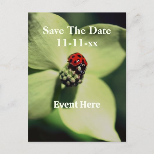 Save The Date Ladybug On Flower Ankündigungspostkarte (Vorderseite)